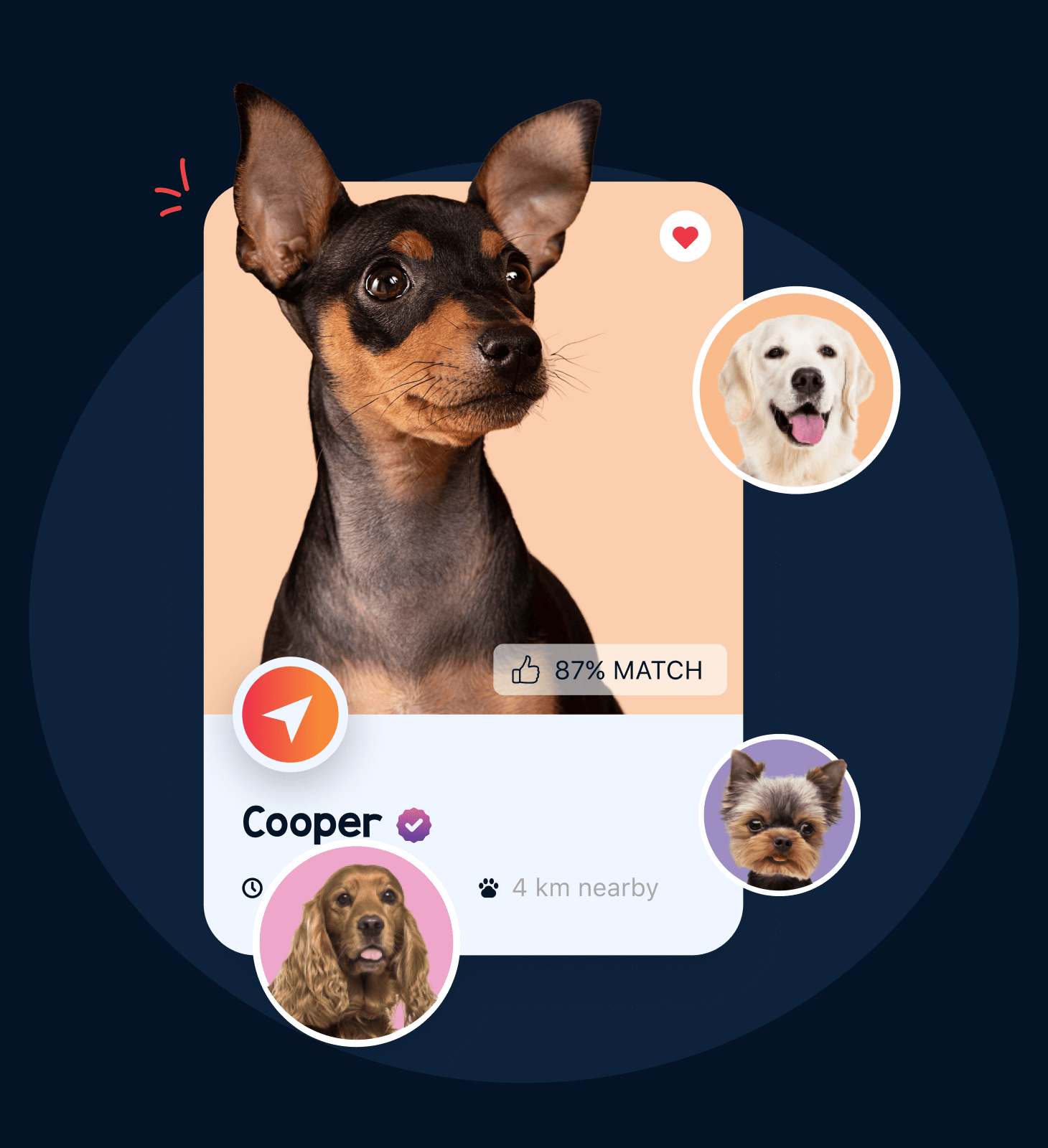 Kiss & Tail - Dog Breeding App