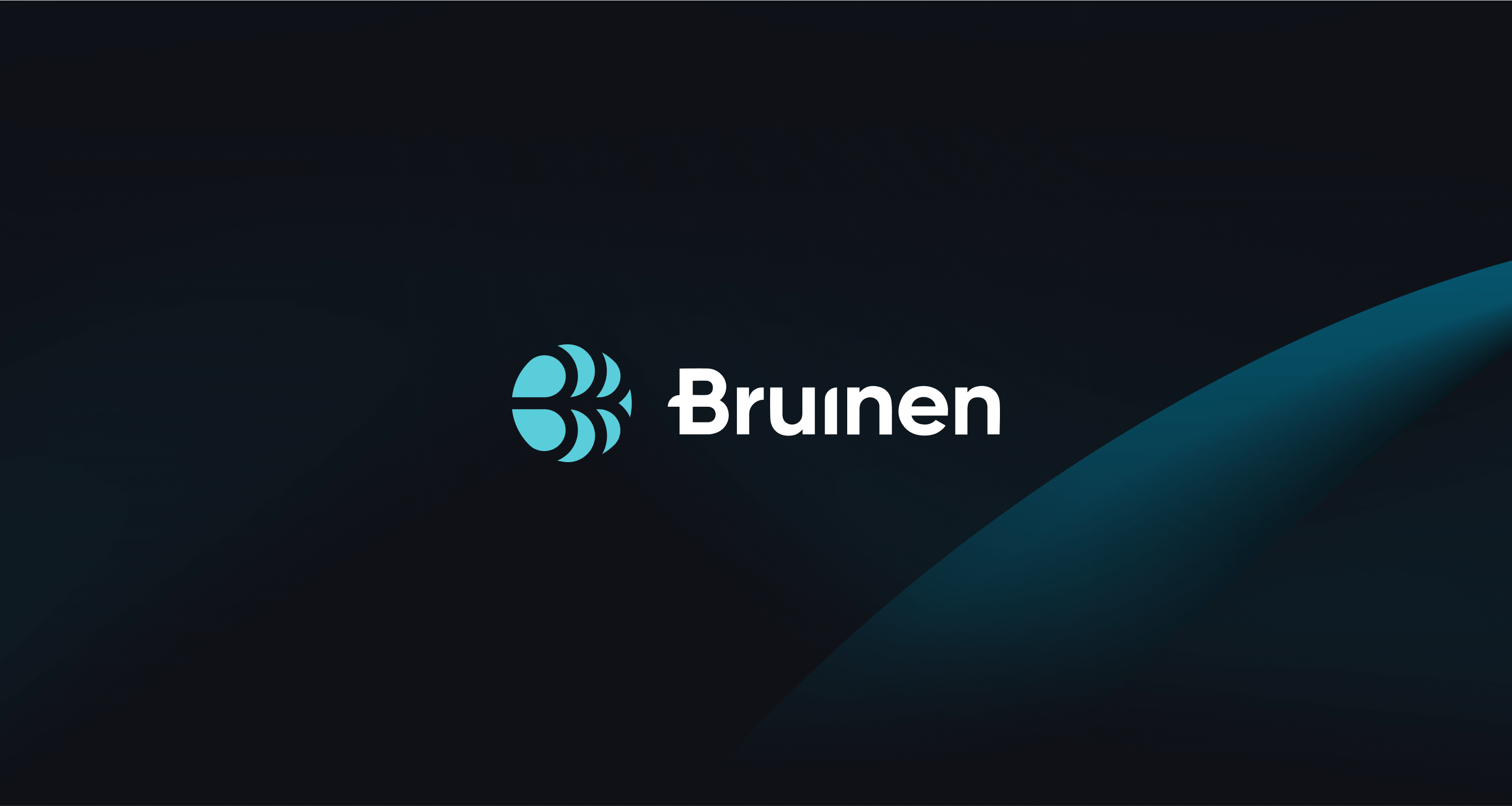 Bruinen - SaaS AI Platform for Data Management