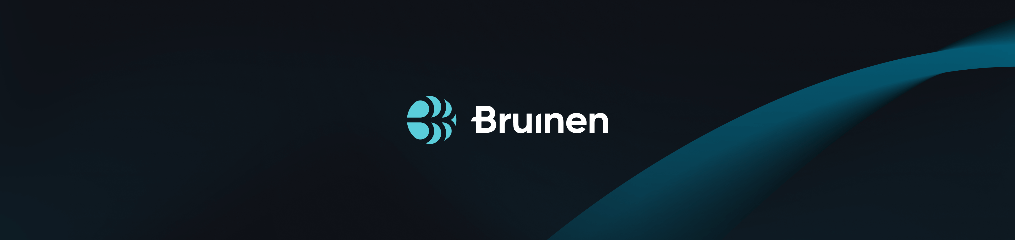 Bruinen - SaaS AI Platform for Data Management