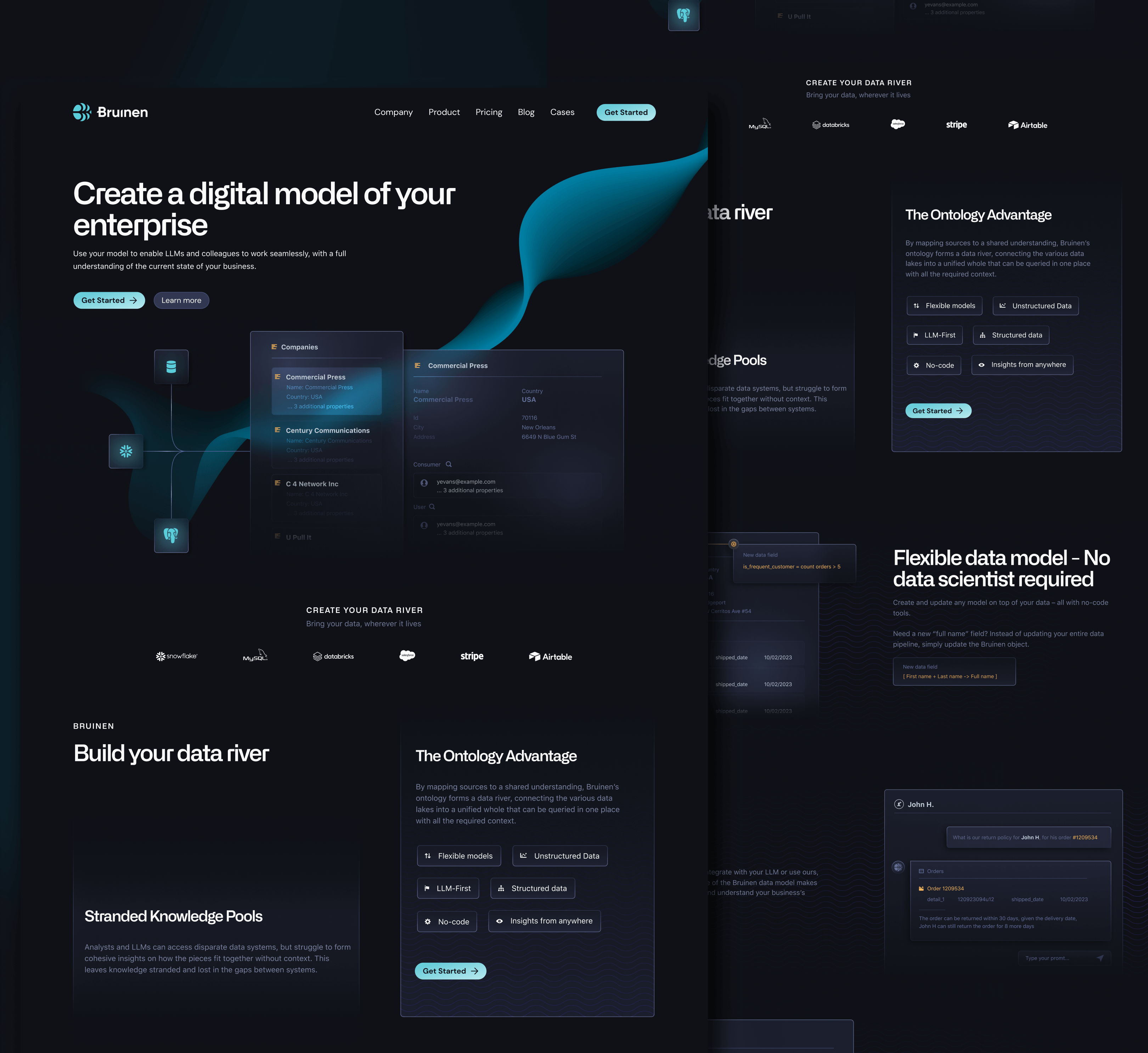 Bruinen - SaaS AI Platform for Data Management